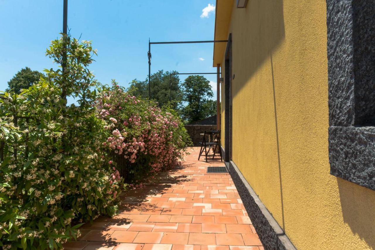 Viola Nel Parco Villa SantʼAlfio Dış mekan fotoğraf
