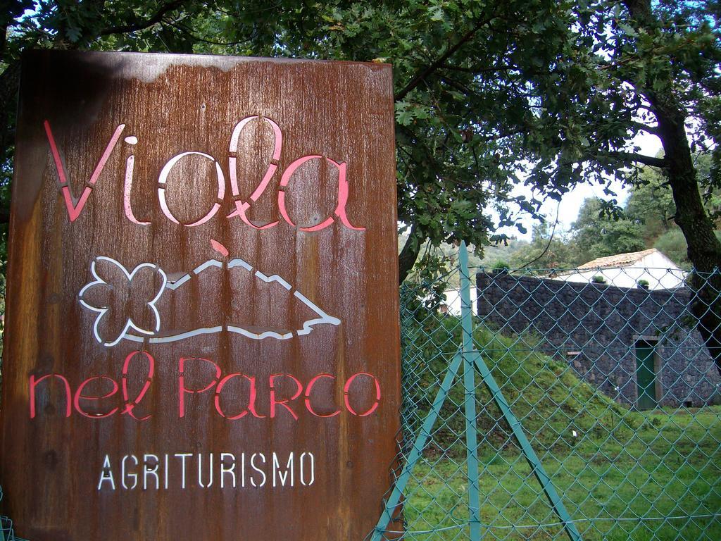 Viola Nel Parco Villa SantʼAlfio Dış mekan fotoğraf