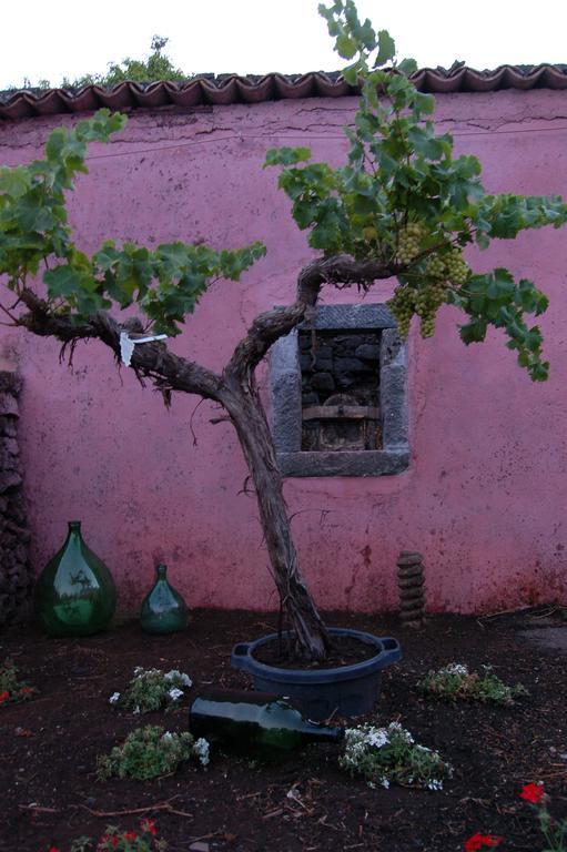 Viola Nel Parco Villa SantʼAlfio Dış mekan fotoğraf