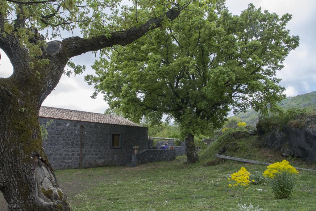 Viola Nel Parco Villa SantʼAlfio Dış mekan fotoğraf