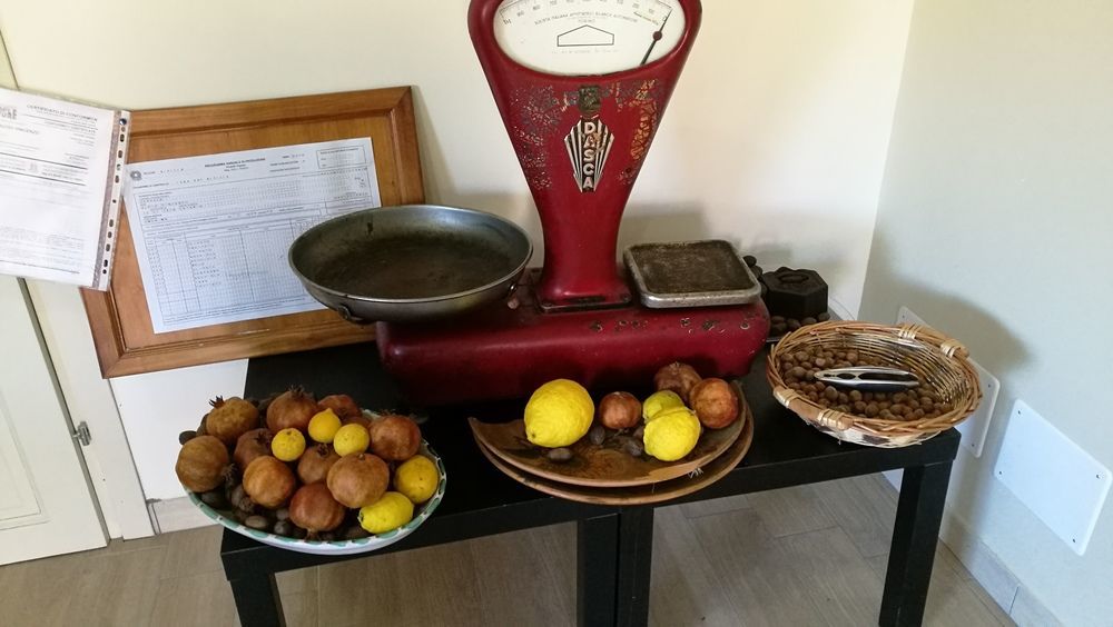 Viola Nel Parco Villa SantʼAlfio Dış mekan fotoğraf