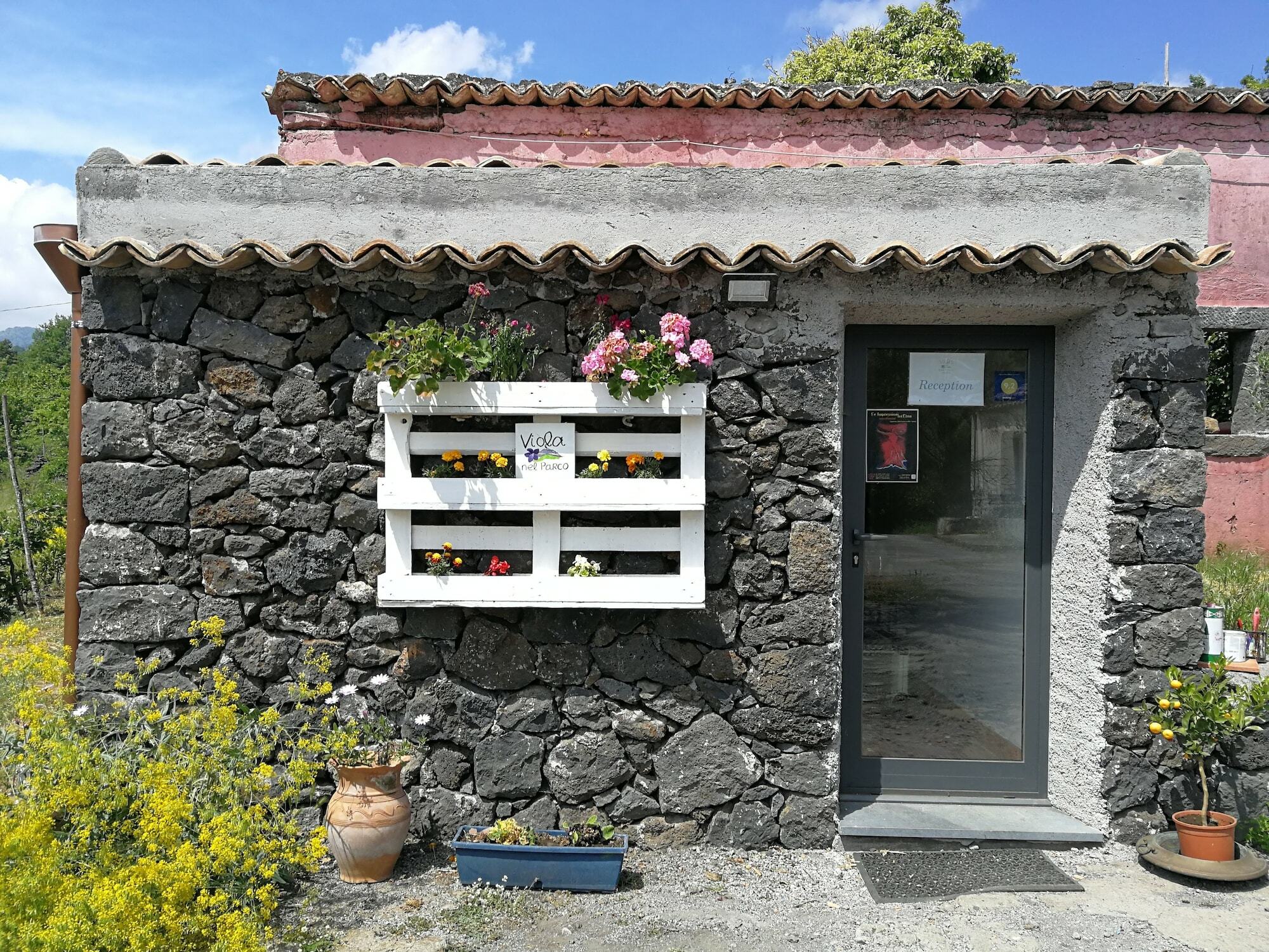 Viola Nel Parco Villa SantʼAlfio Dış mekan fotoğraf