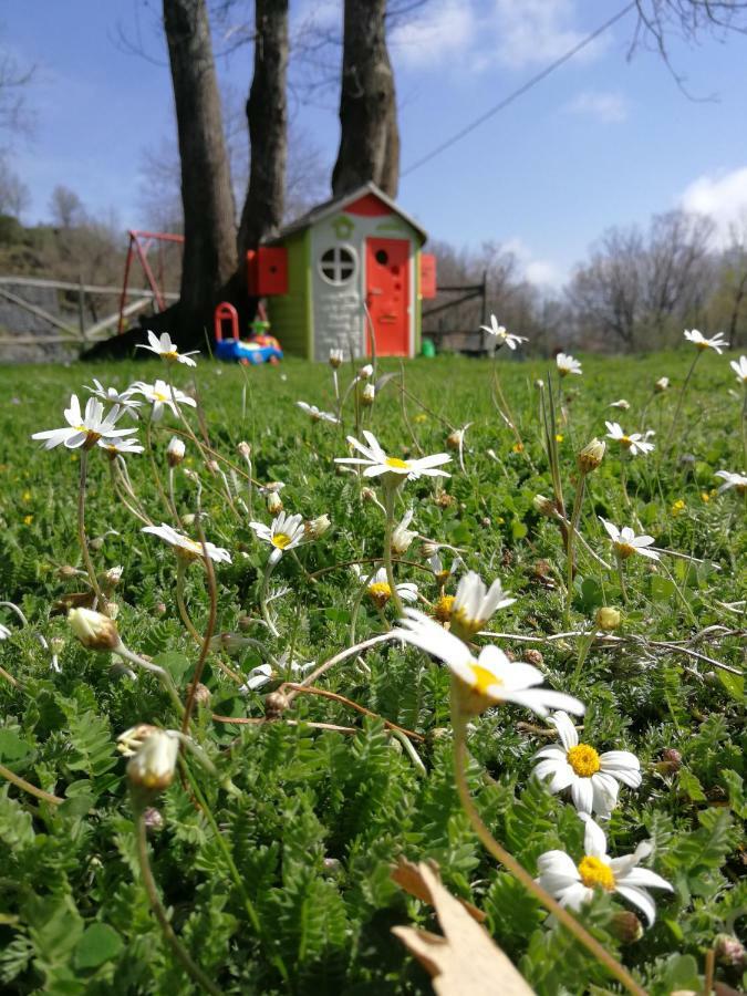 Viola Nel Parco Villa SantʼAlfio Dış mekan fotoğraf