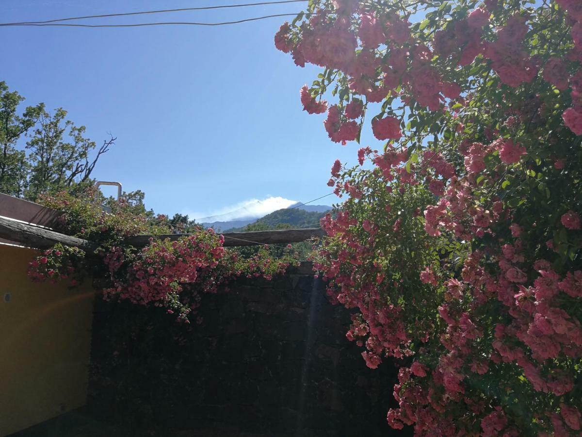 Viola Nel Parco Villa SantʼAlfio Dış mekan fotoğraf