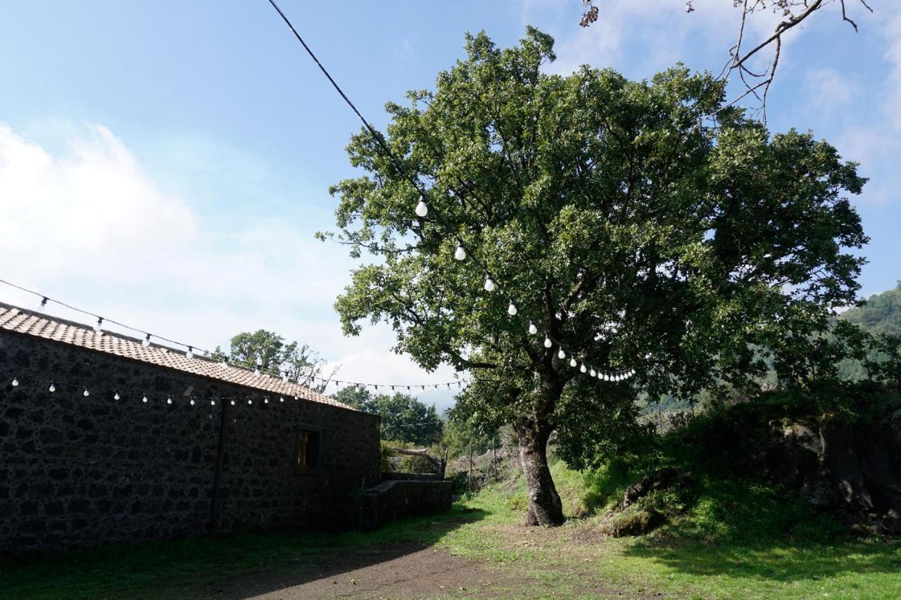Viola Nel Parco Villa SantʼAlfio Dış mekan fotoğraf
